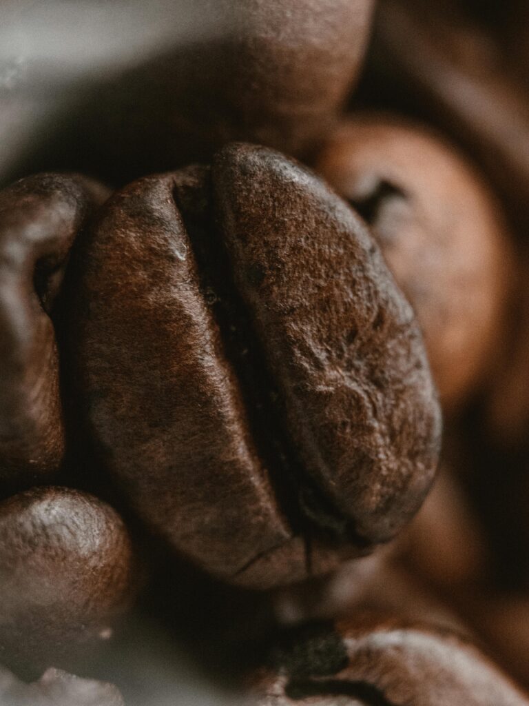 arabica vs robusta coffee beans